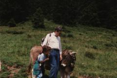 Allgau04