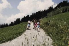 Allgaeu9116