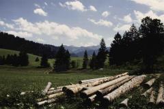 Allgaeu9123