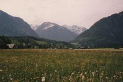 Allgau9205
