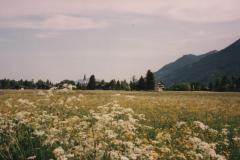 Allgau9207