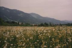 Allgau9211