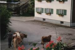 Allgau9225