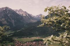 Allgau9239