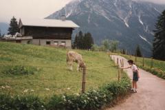 Allgau9244