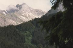 Allgau9246