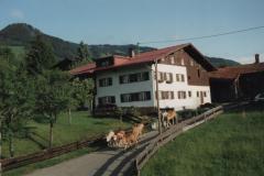 Allgau9248