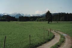 Allgau9250