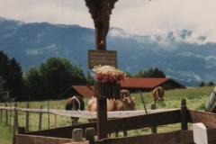 Allgau9251