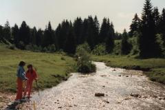 Allgäu 1993