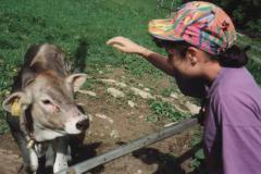 Allgau9312