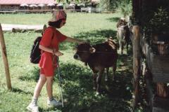 Allgau9415