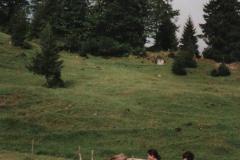 Allgau9706