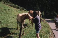 Allgau9711