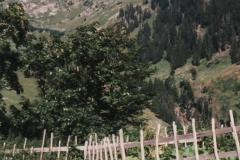 Allgau9754