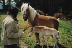 Allgaeu-1998-12