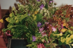 Allgaeu-1998-15