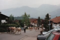Allgaeu-1998-25