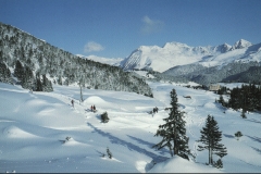 Arosa11