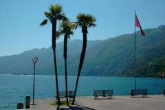 Ascona2005013