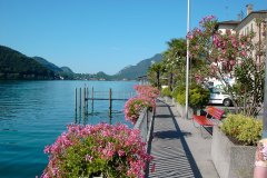 Ascona2005018