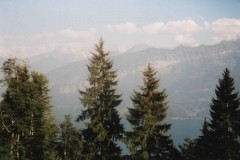 IMG_4859