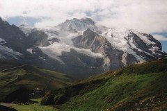 IMG_4867
