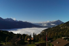 IMG_4875