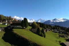 IMG_4878