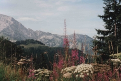 Berchtesgaden41