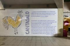 Rio2020064