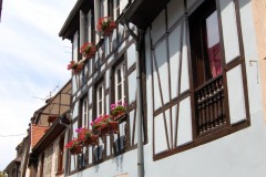 Colmar043