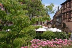 Colmar047