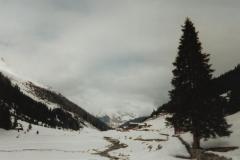 Davos9809