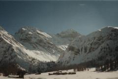 Davos9818