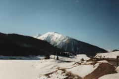 Davos9822