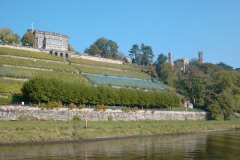 Dresden016