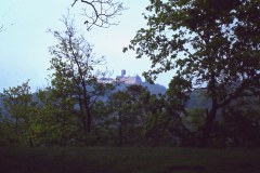 PICT0656