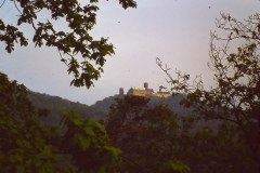 PICT0657