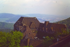 PICT0662n