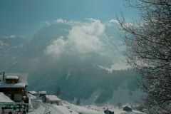 KIF_2696