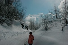 KIF_2697