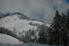 KIF_2699