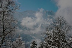 KIF_2702