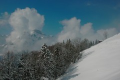 KIF_2706