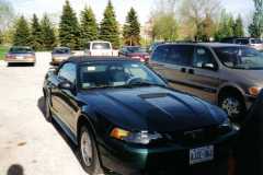 Mustang1