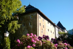 Kitz2004005