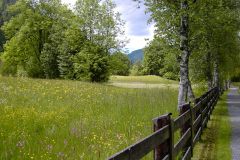 Kitz2004028