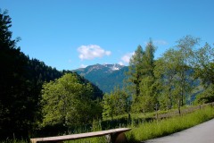 Kitz2004029