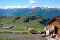 Kitz2004033